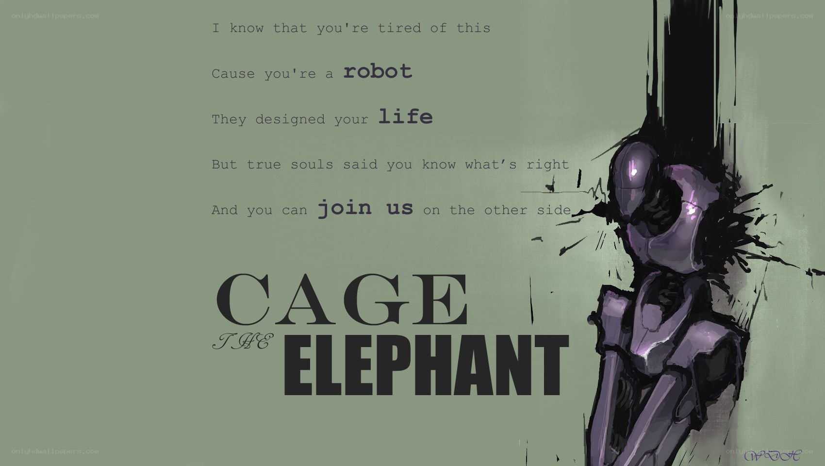 Cage the Elephant artwork