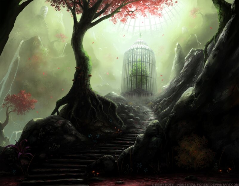 Caged Tree in Forest