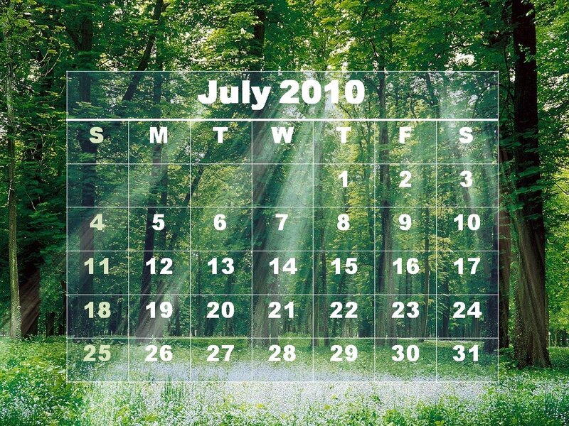 Calendar in Forest