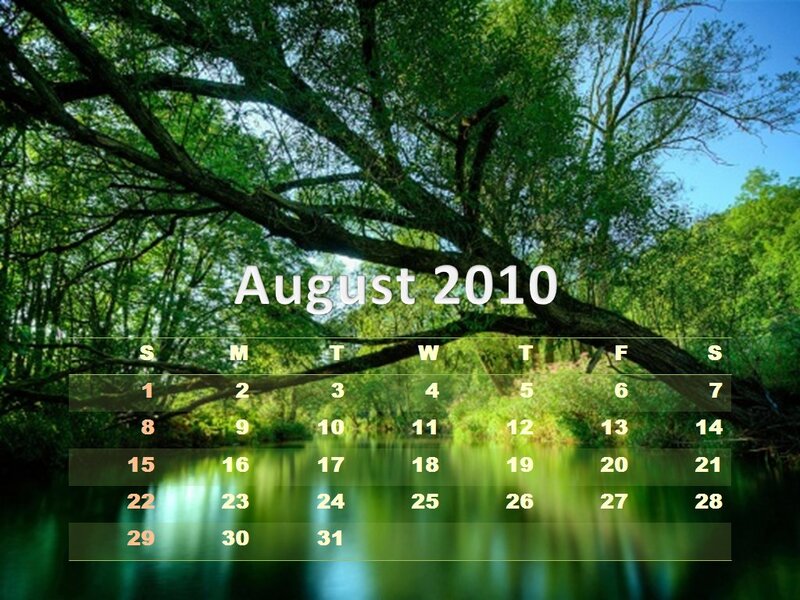Calendar on Forest Background
