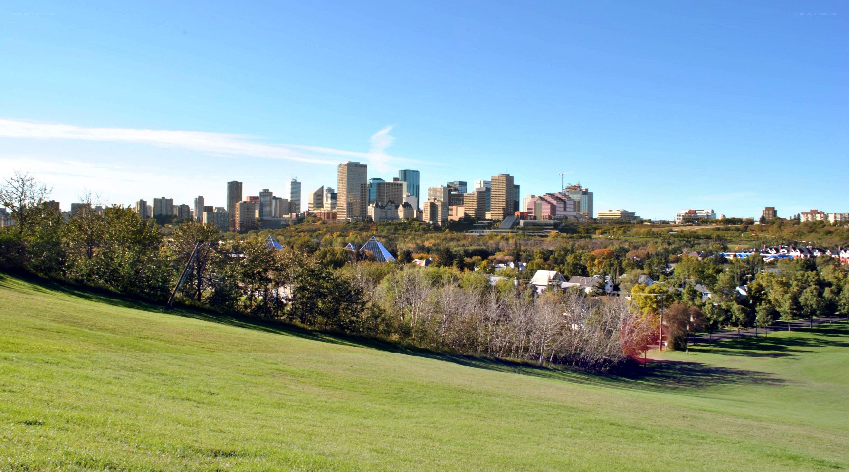 Calgary skyline from a park