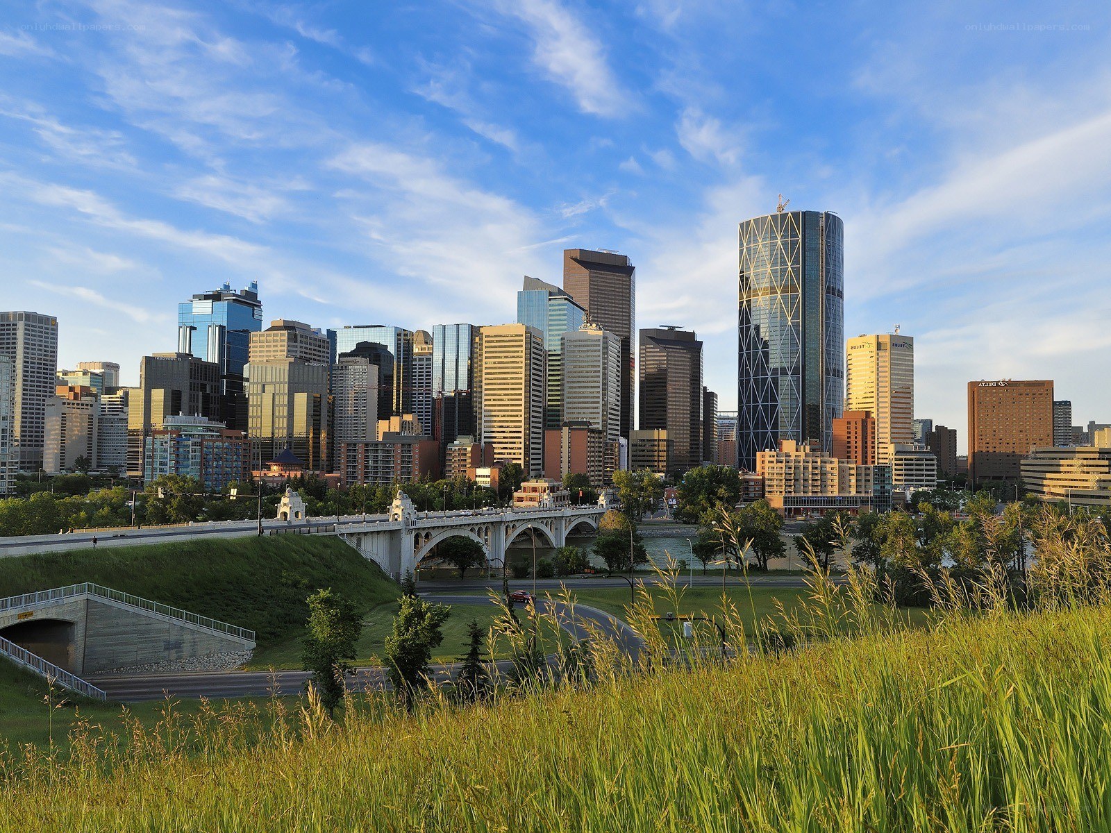 Calgary skyline with bridge