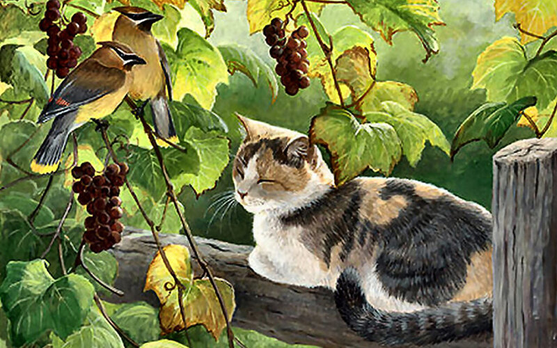 Calico Cat and Birds