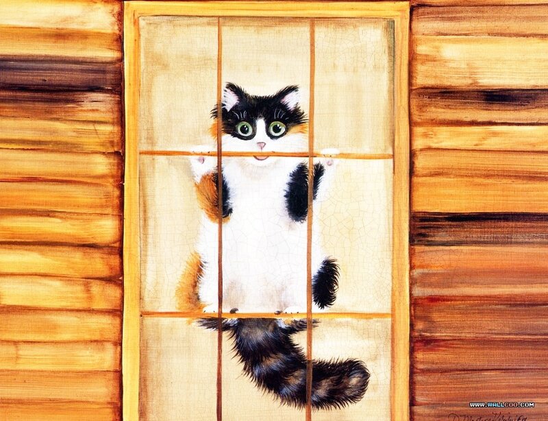 Calico Cat at Window — Brown, Curious