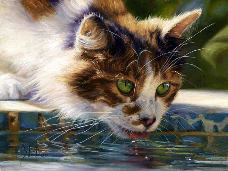 Calico Cat Drinking Water — Green, Calm