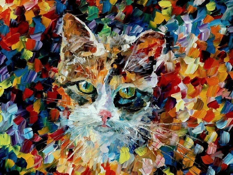 Calico Cat Face