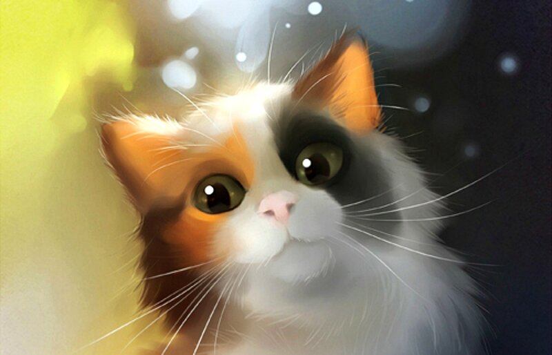 Calico Cat Face — White, Dreamy