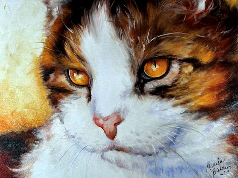 Calico Cat Face — White