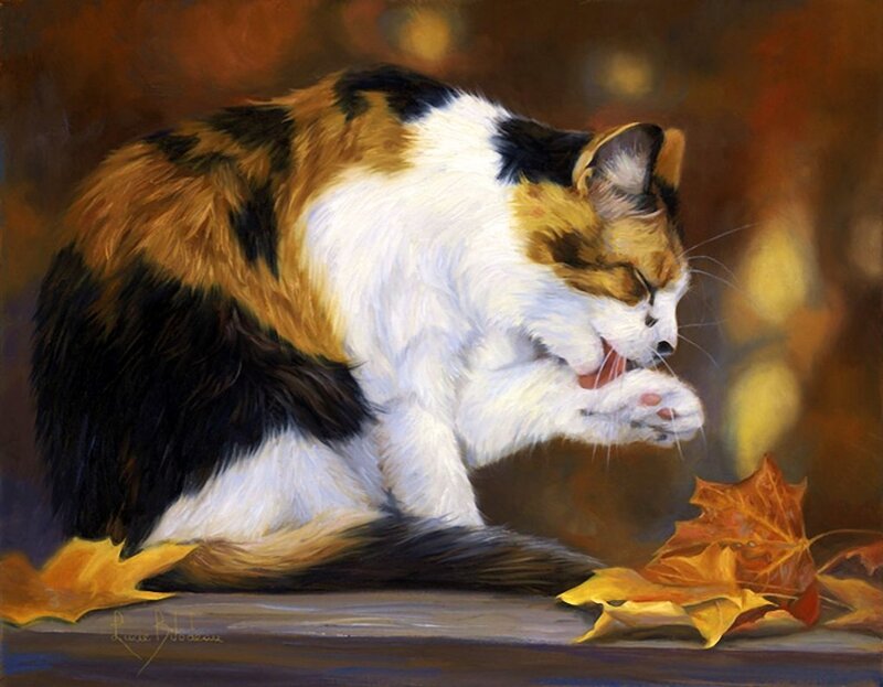 Calico Cat Grooming — Brown