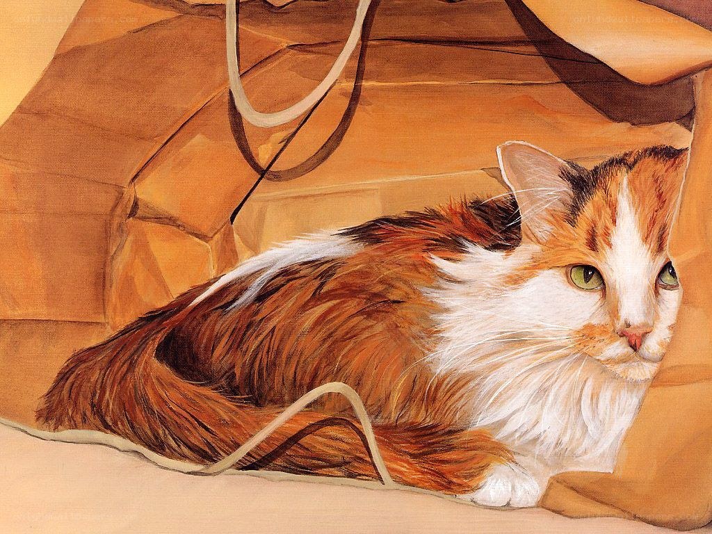 calico cat in a bag