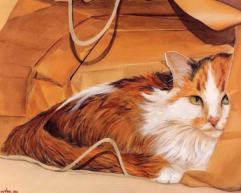 Calico Cat in Bag