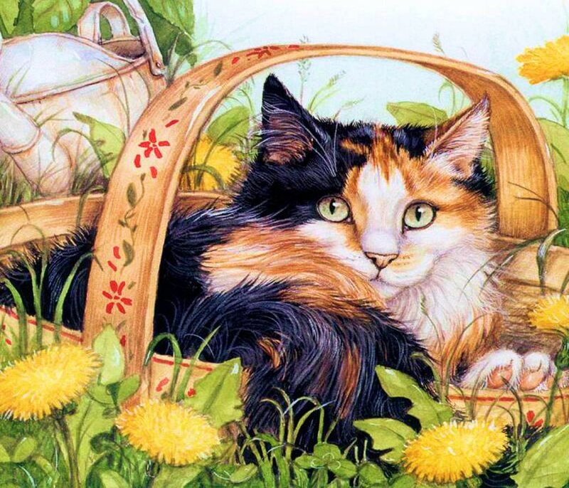 Calico Cat in Basket — Yellow, Peaceful
