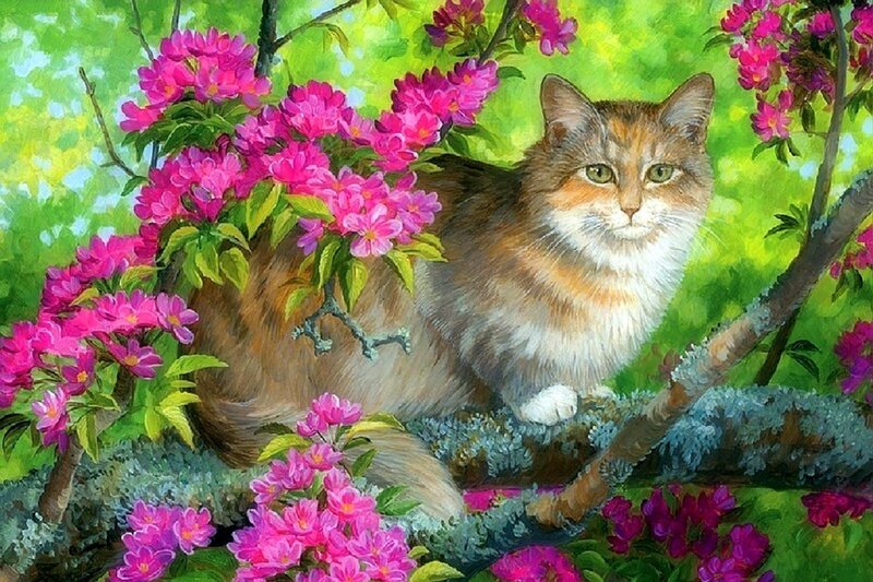 Calico Cat in Flowers — Pink