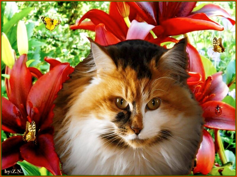 Calico Cat in Flowers
