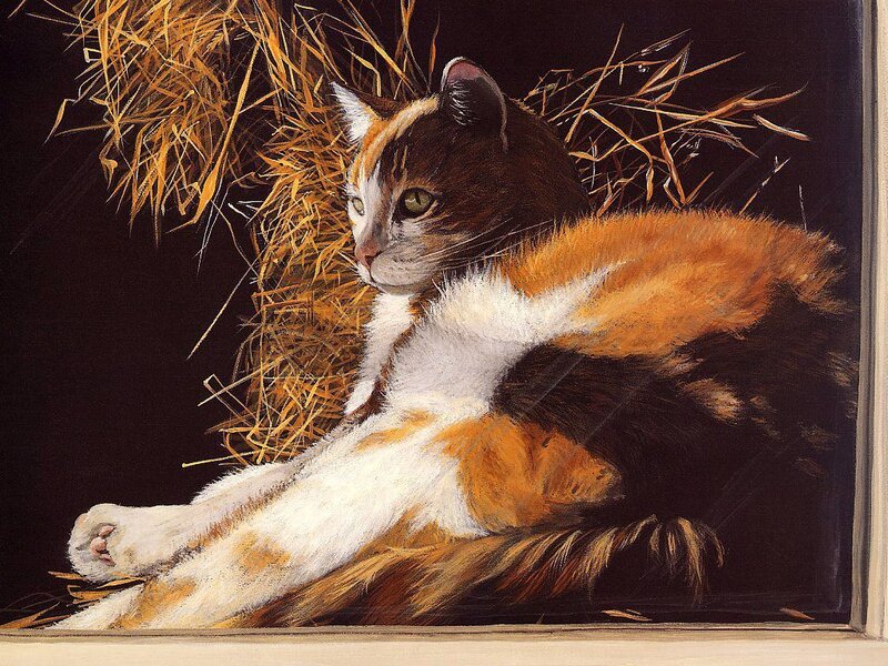 Calico Cat in Hay
