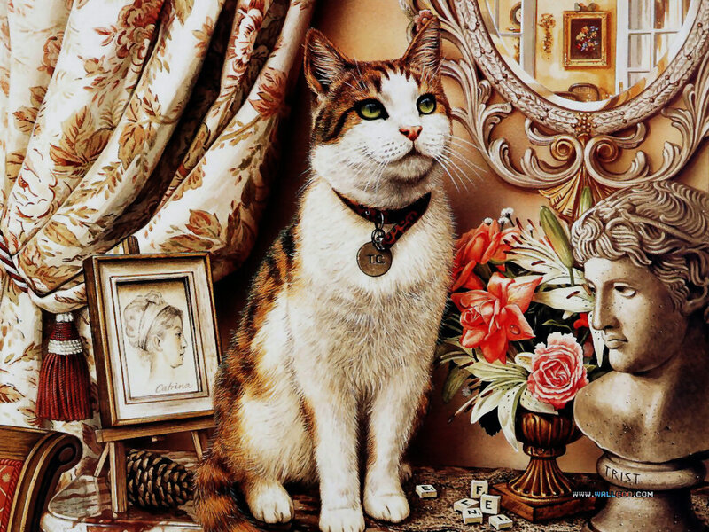 Calico Cat in Interior — Brown