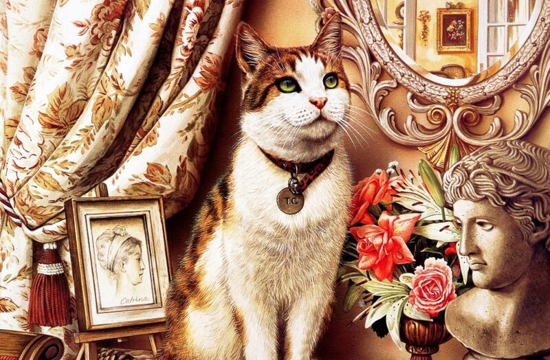 Calico Cat in Interior