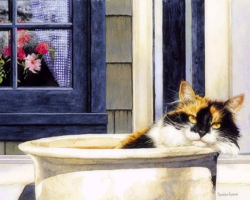 Calico Cat in Planter