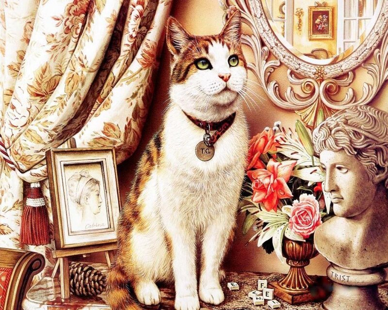 Calico Cat in Room — White