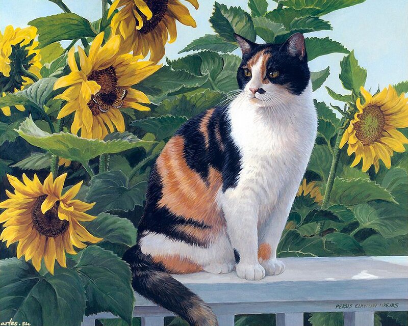 Calico Cat in Sunflowers