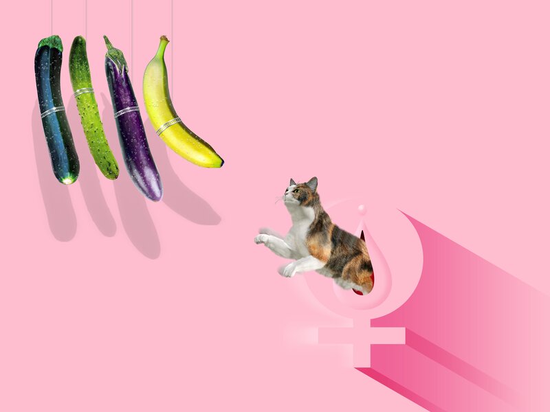 Calico Cat Jumping — Pink