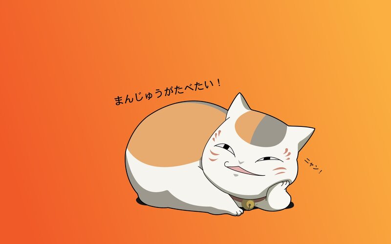 Calico Cat Lying Down — Orange, Playful
