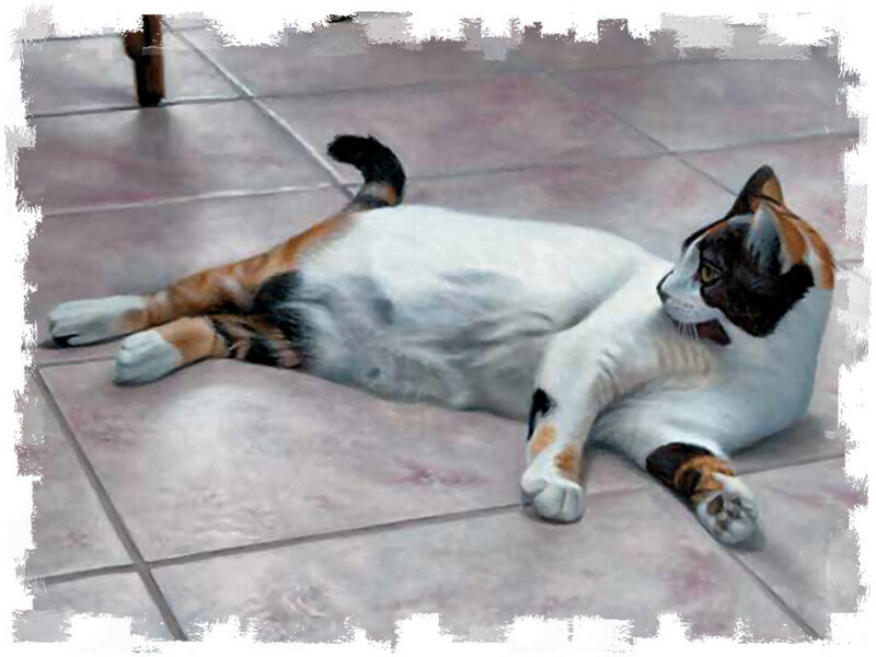 Calico Cat Lying Down — White, Relaxed, Photograph, Floor