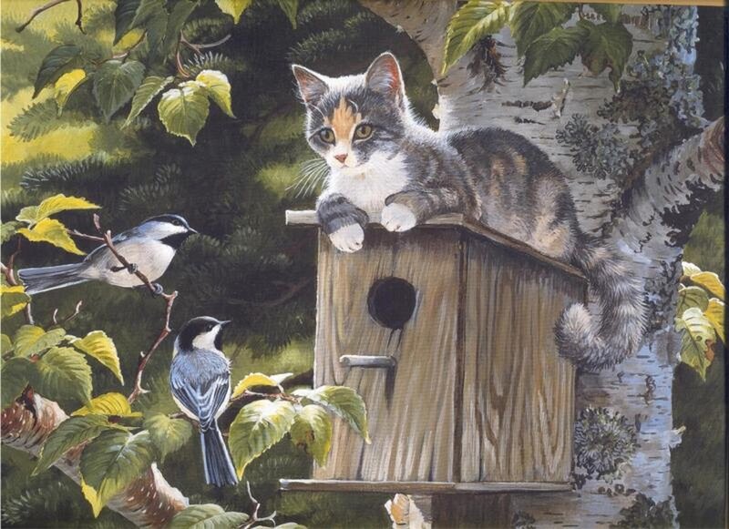 Calico Cat on Birdhouse