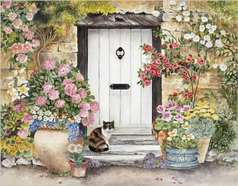 Calico Cat on Doorstep