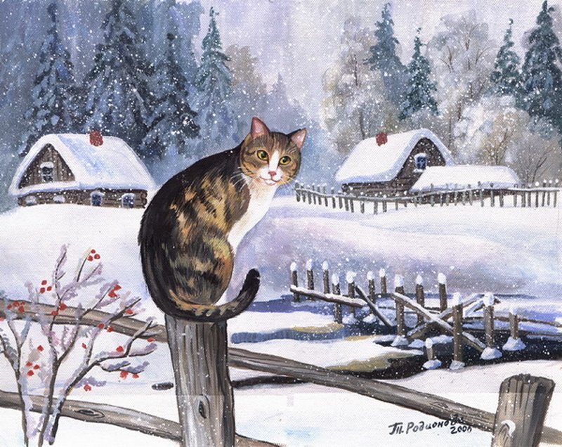 Calico Cat on Fence — White, Serene