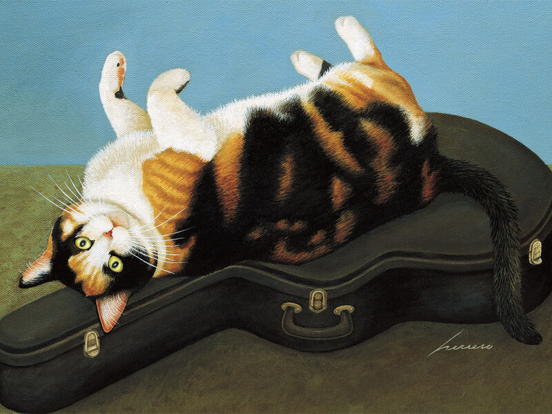 Calico Cat on Guitar Case