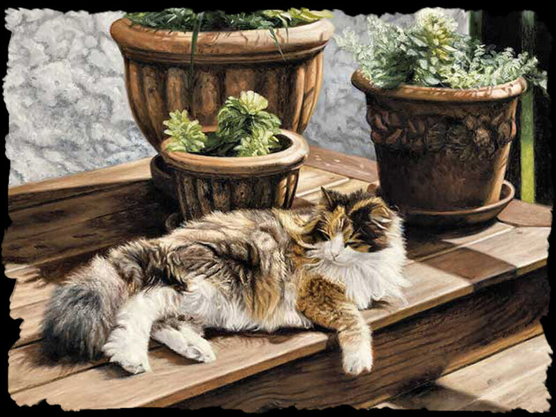 Calico Cat on Porch