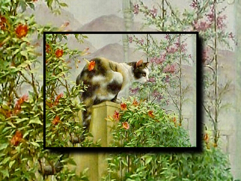 Calico Cat on Post