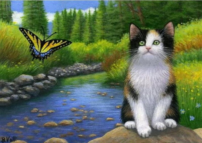 Calico Cat on Rock — Green, Serene