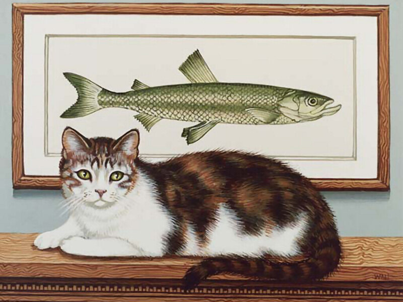 Calico Cat on Shelf