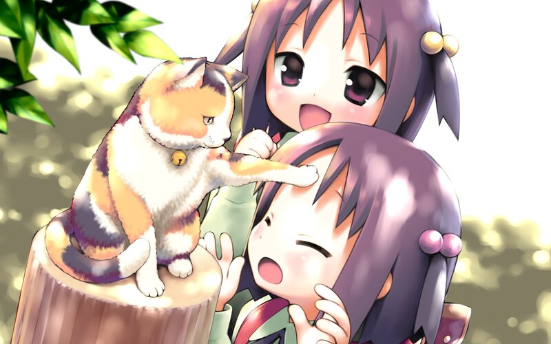 Calico Cat on Stump — Purple