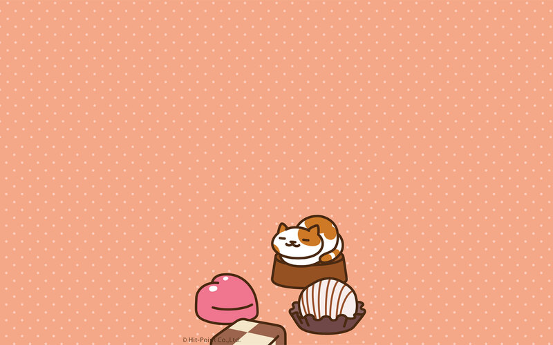 Calico Cat on Sweets
