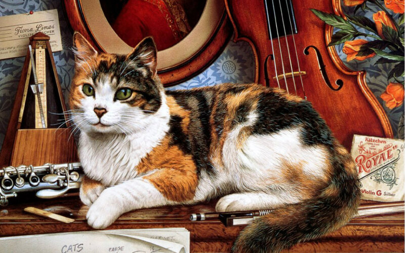 Calico Cat on Table — Brown, Serene