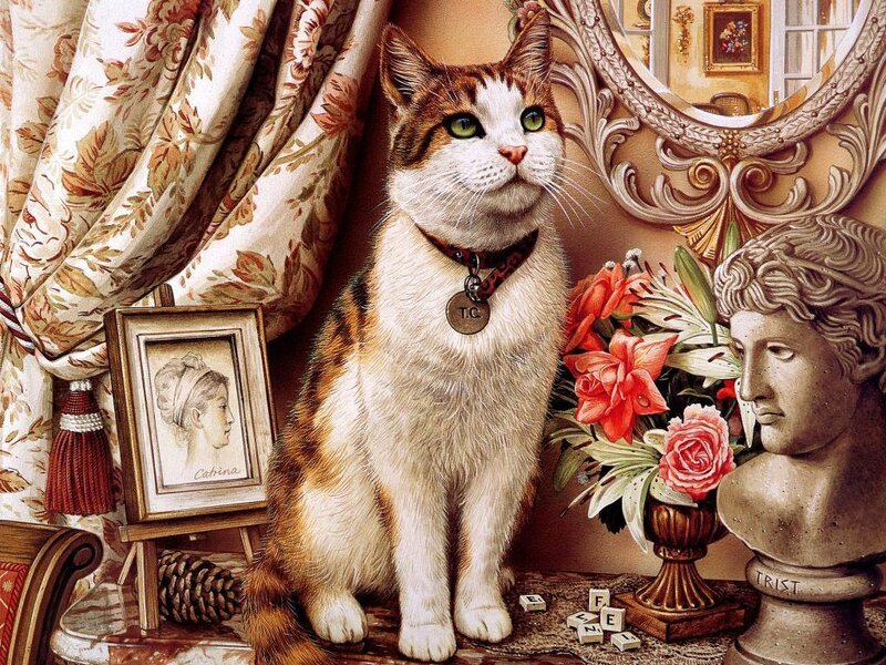 Calico Cat on Table