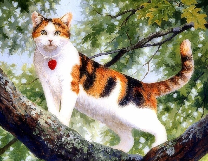 Calico Cat on Tree Branch