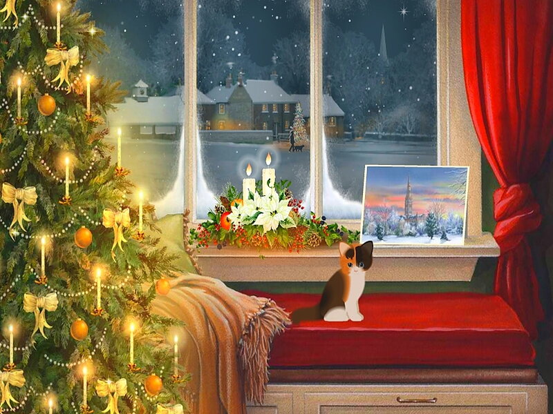 Calico Cat on Windowsill — Red