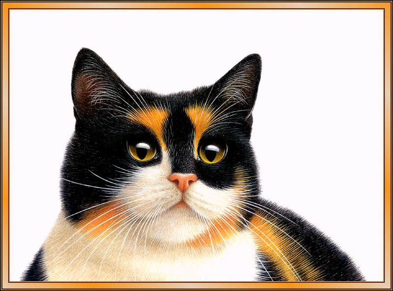 Calico Cat Portrait — Black