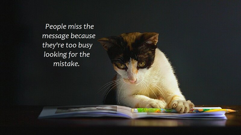 Calico Cat Reading Book