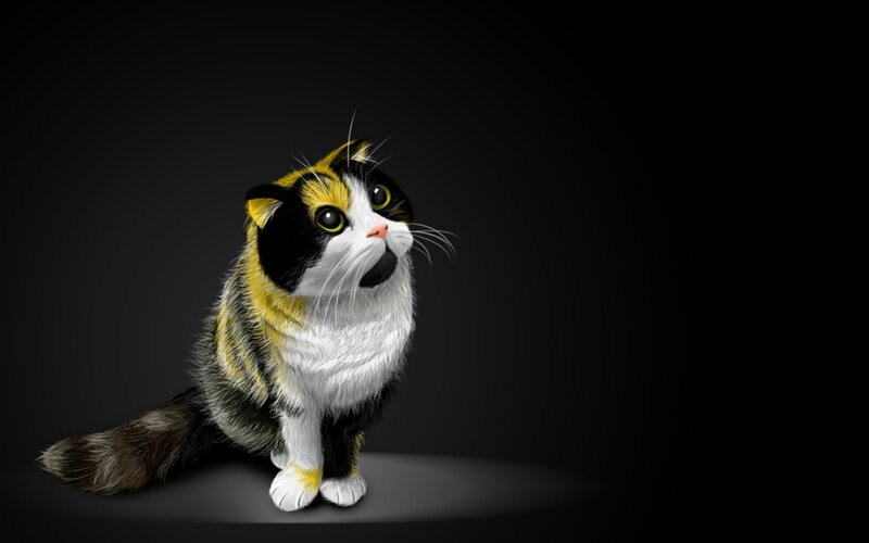 Calico Cat Sitting — Black, Dramatic