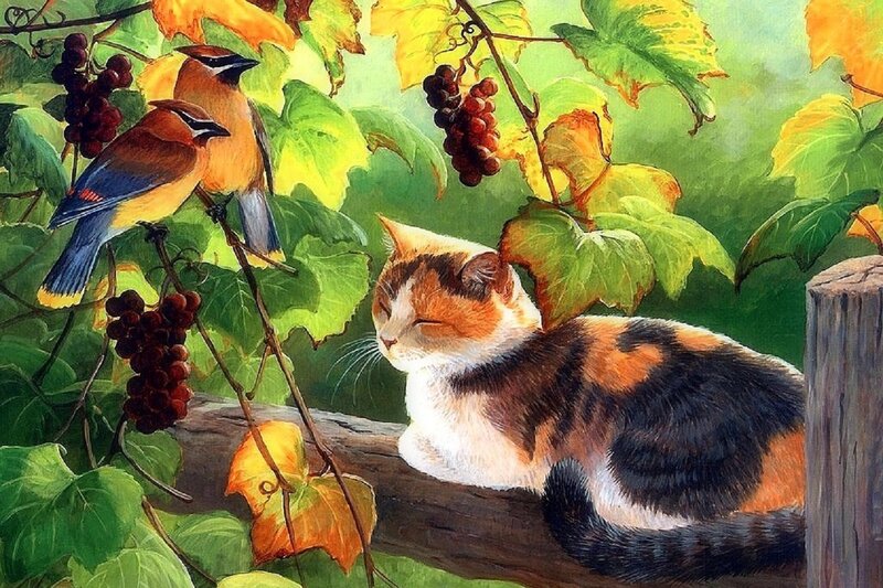 Calico Cat Sleeping — Green, Serene