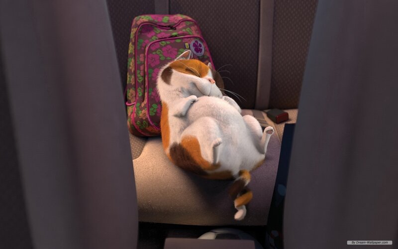 Calico Cat Sleeping — White, Peaceful, 3d Render