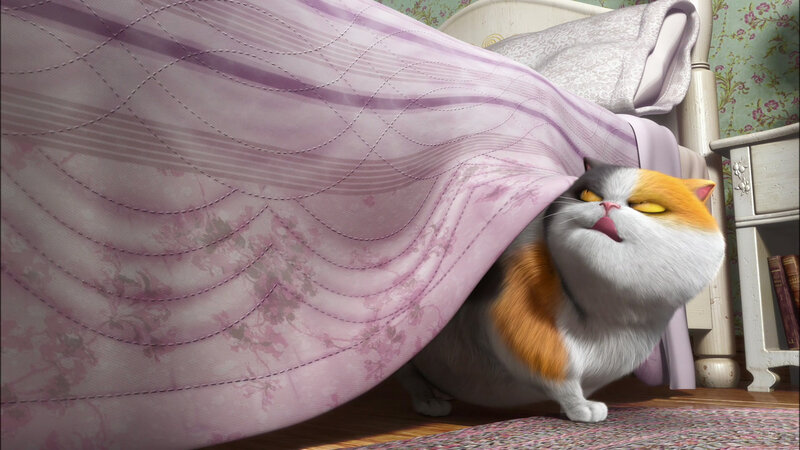 Calico Cat under Blanket — Purple