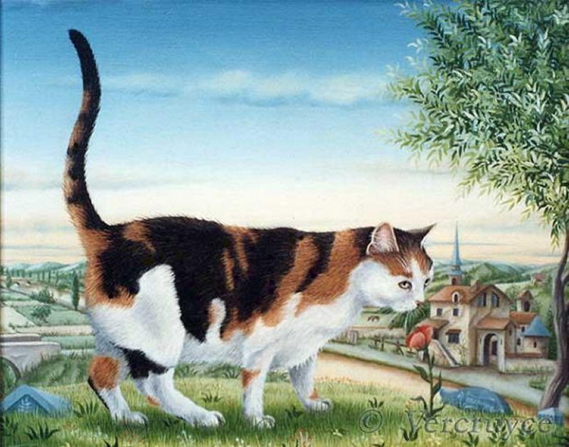 Calico Cat Walking — White