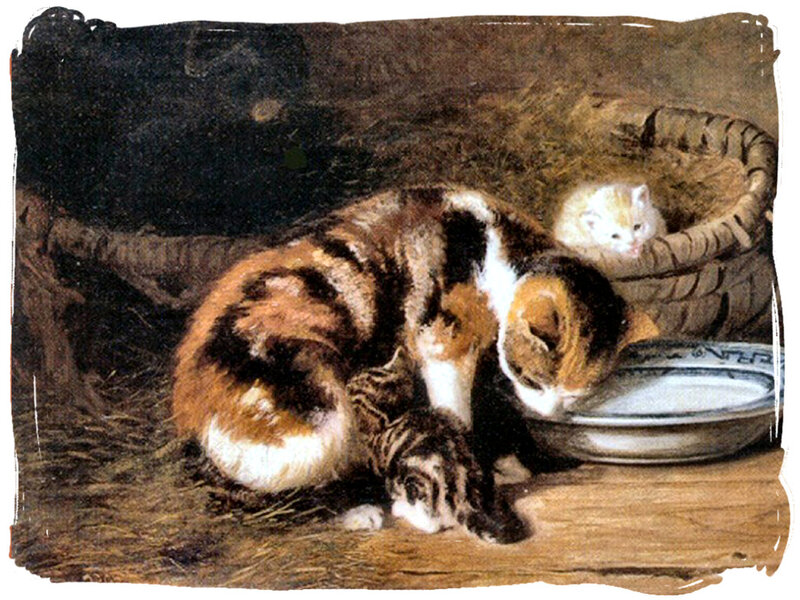 Calico Cat with Kittens — Brown