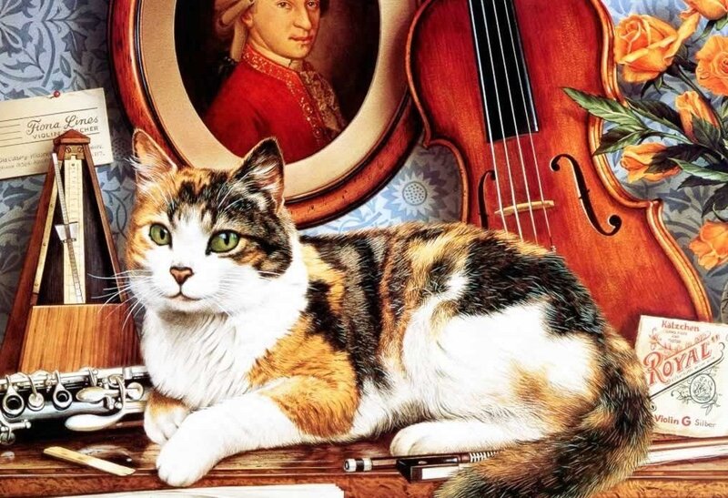 calico cat with musical instruments